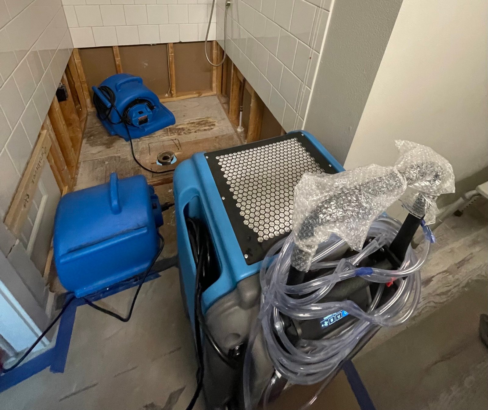 SHOWER PAN LEAK - MOLD REMEDIATION